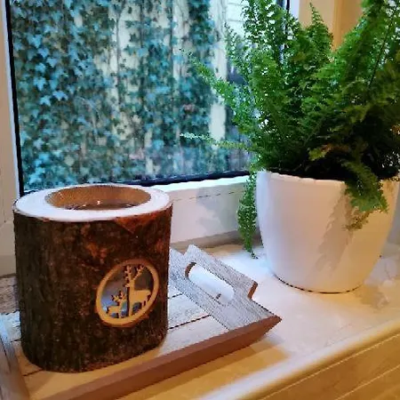 Mit Schlossblick Appartement