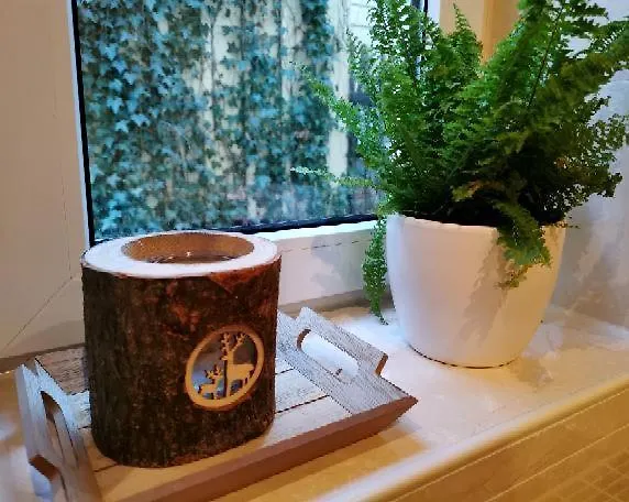 Mit Schlossblick Appartement